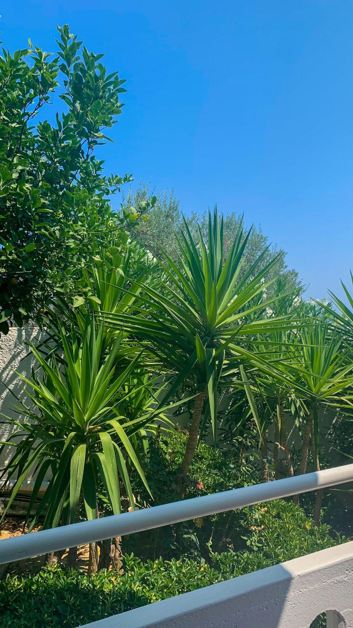 Agia Marina Skala Apartments מראה חיצוני תמונה